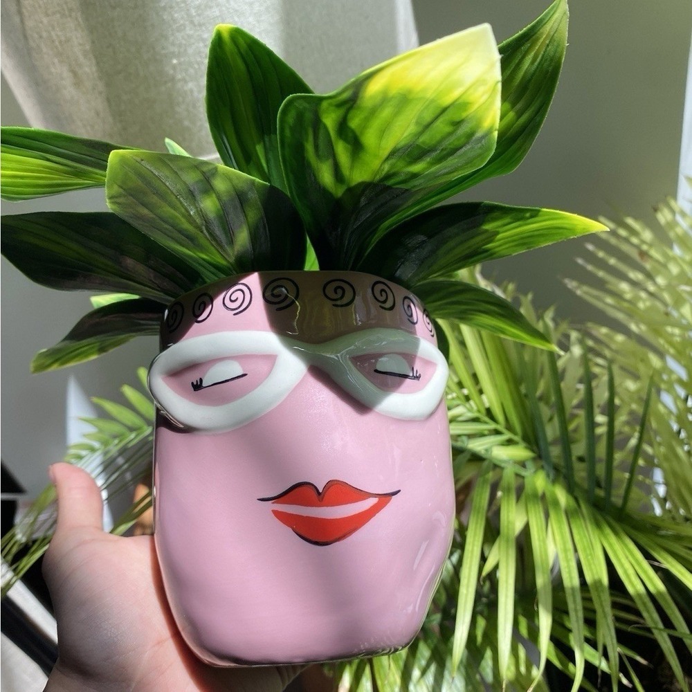 Pink Face Planter For Succulent Quirky Whimsy